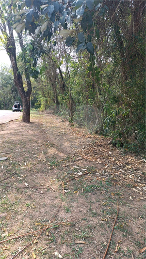Foto REO1183917