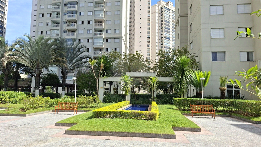 Foto REO1183926
