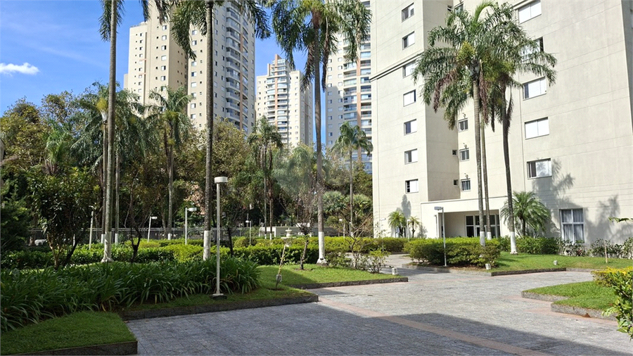 Foto REO1183926