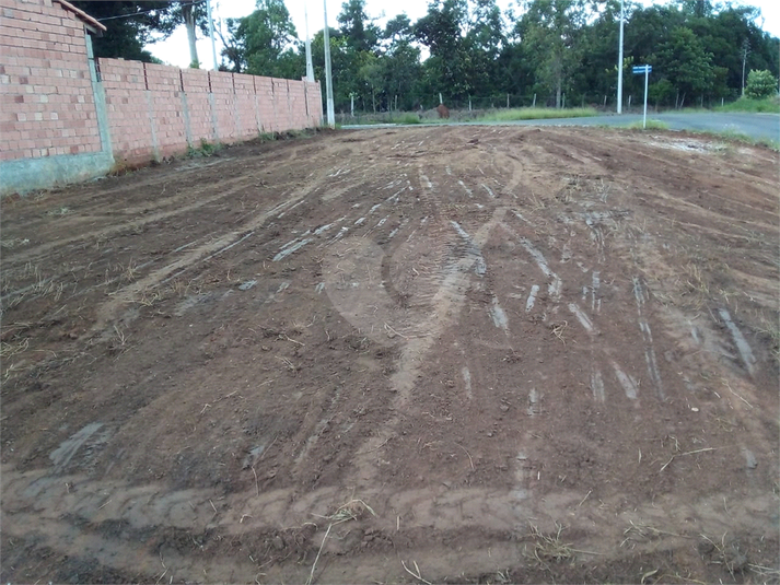 Foto REO1183946