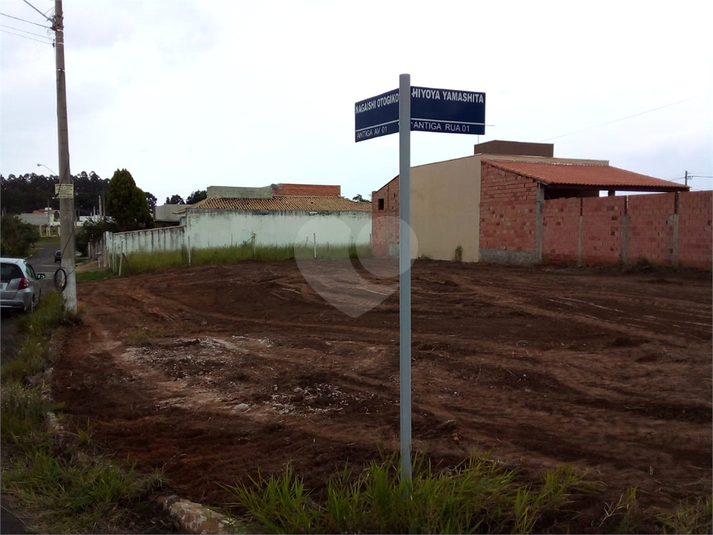 Foto REO1183946