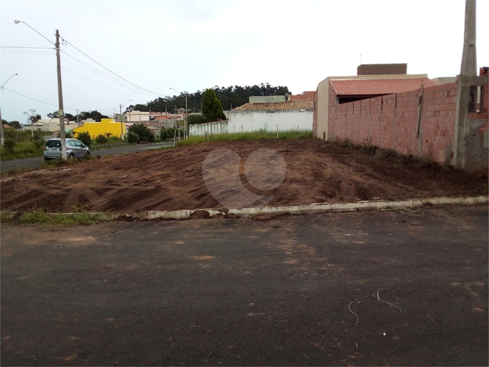Foto REO1183946