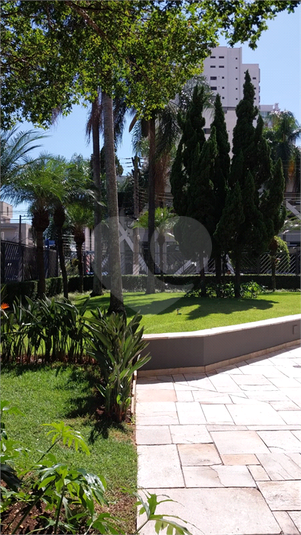 Foto REO1183957