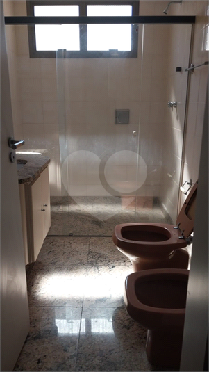 Foto REO1183957