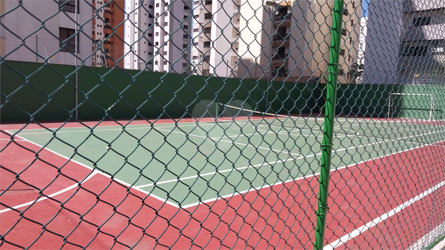 Foto REO1183957