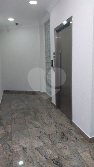 Foto REO1183957