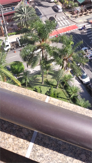 Foto REO1183957