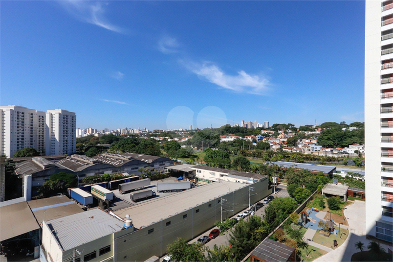 Foto REO1183993