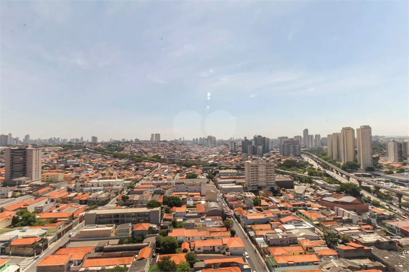 Foto REO1184053