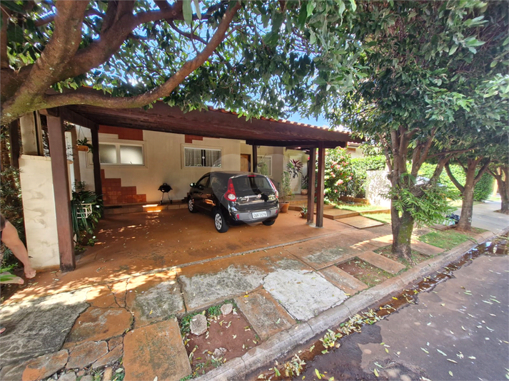 Foto REO1184089