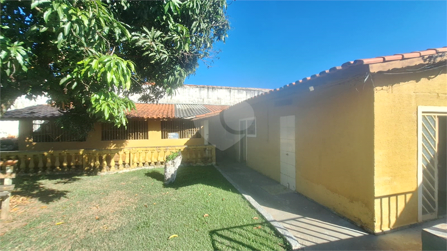 Foto REO1184157