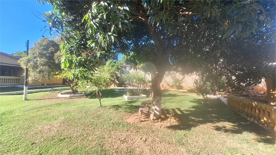 Foto REO1184157
