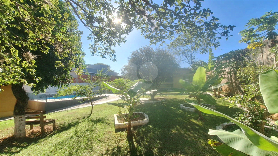 Foto REO1184157