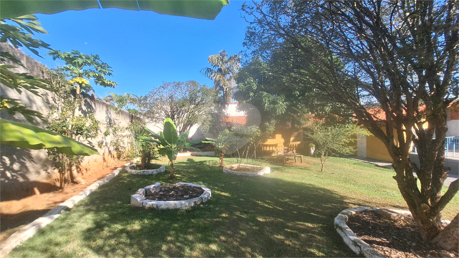 Foto REO1184157