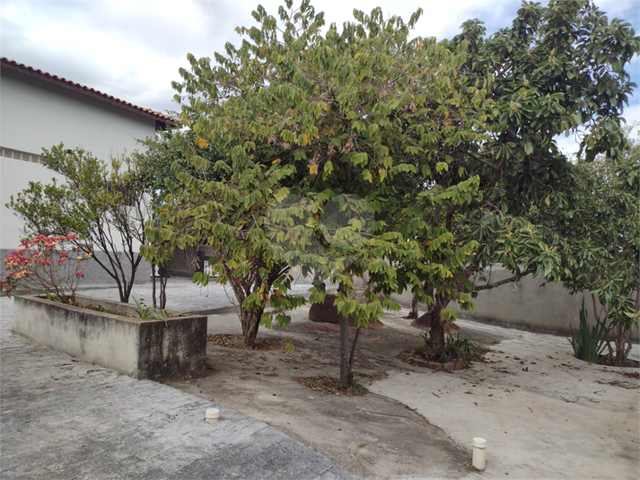 Foto REO1184161