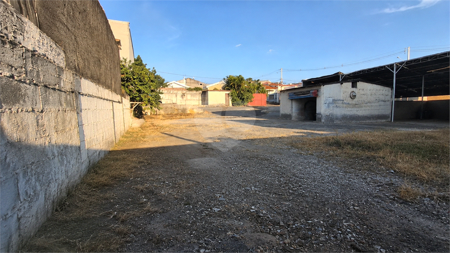 Foto REO1184175