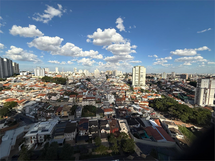 Foto REO1184180