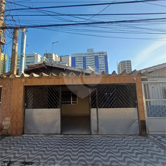 Foto REO1184183