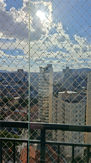 Foto REO1184197