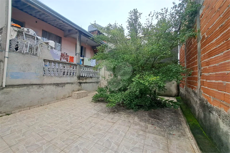 Foto REO1184200
