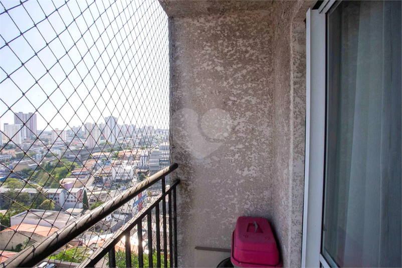 Foto REO1184205