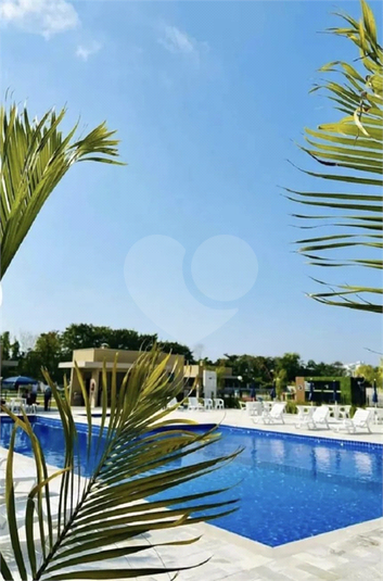 Foto REO1184237