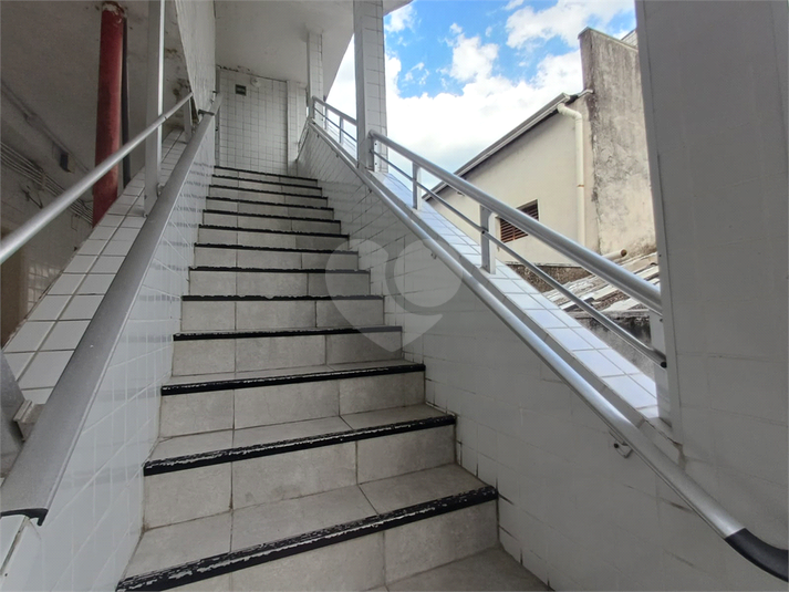 Foto REO1184276