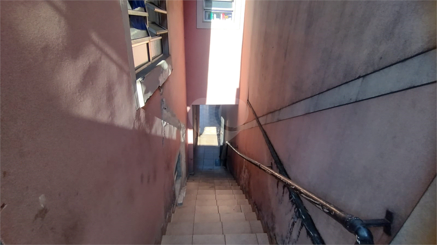Foto REO1184281