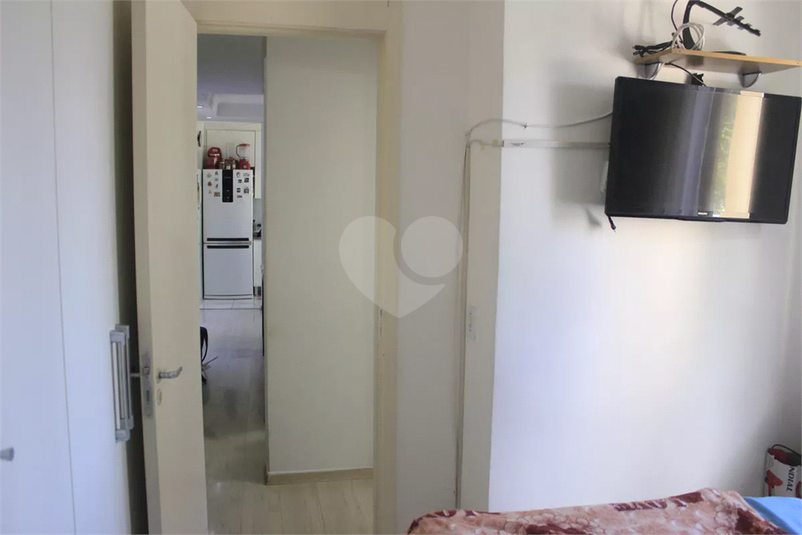 Foto REO1184303