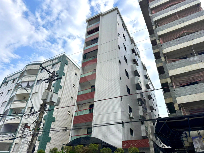 Foto REO1184386