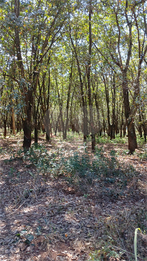 Foto REO1184416