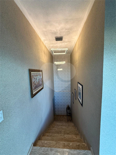 Foto REO1184424