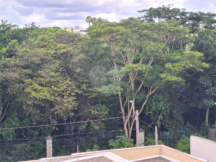Foto REO1184440