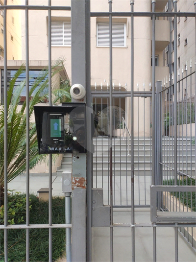 Foto REO11846