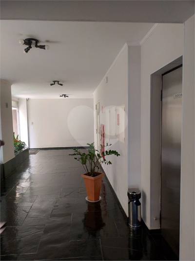 Foto REO11846