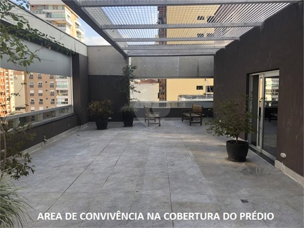 Foto REO119369