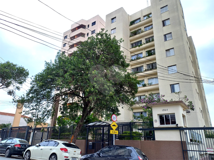 Foto REO119372