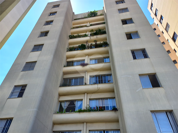 Foto REO119372