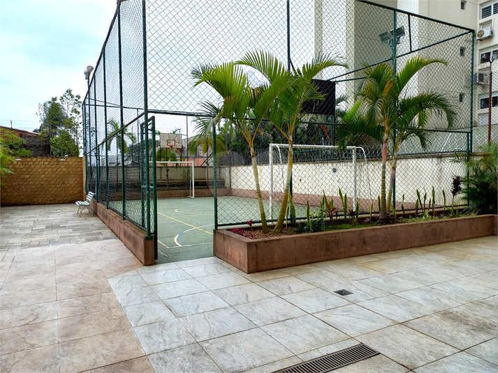 Foto REO119372