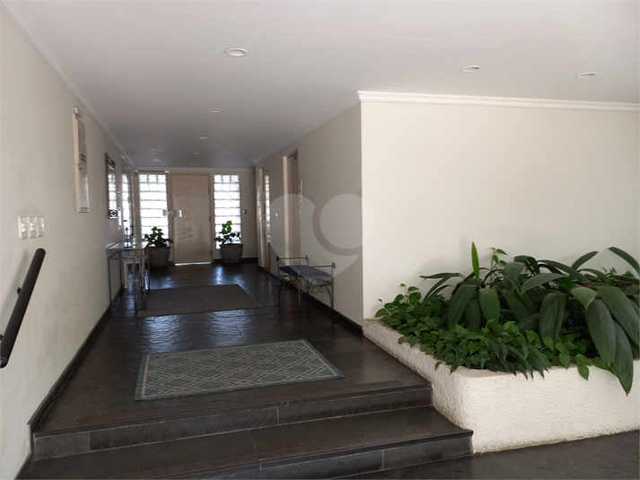Foto REO119372