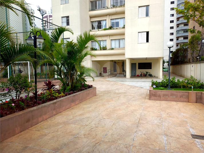 Foto REO119372