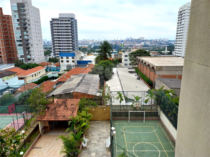 Foto REO119372