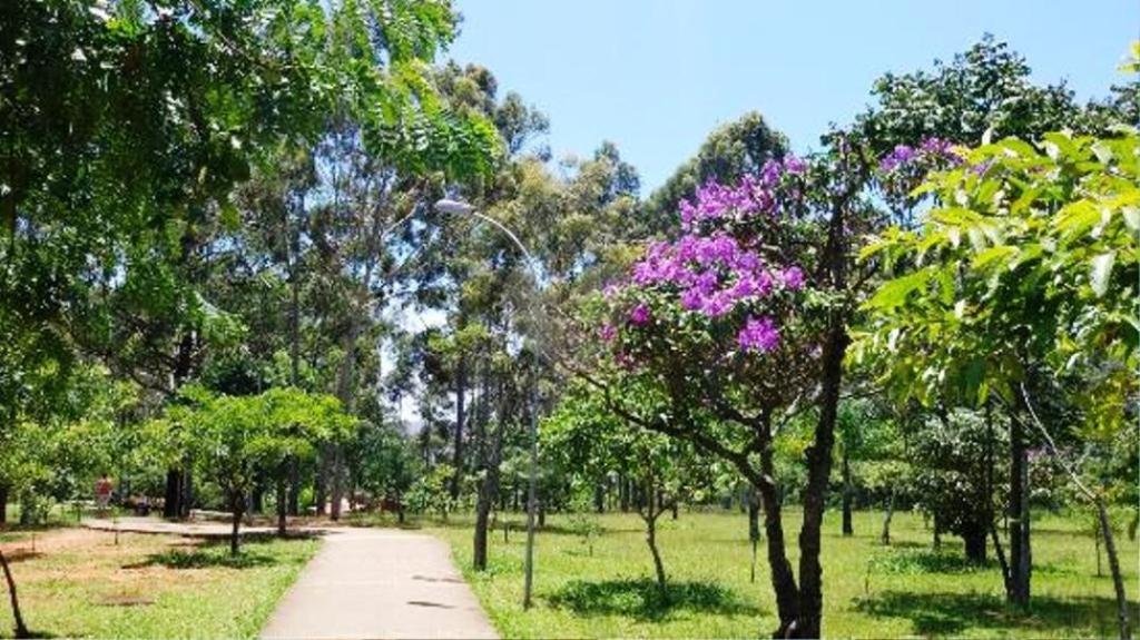 Venda Sobrado São Paulo Vila Alpina REO119375 11