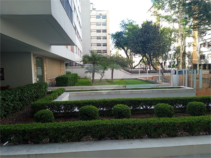 Foto REO119542