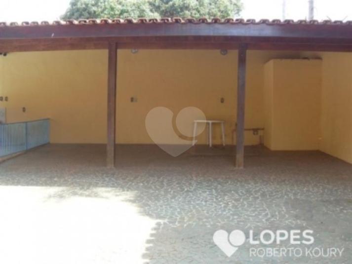Foto REO119961