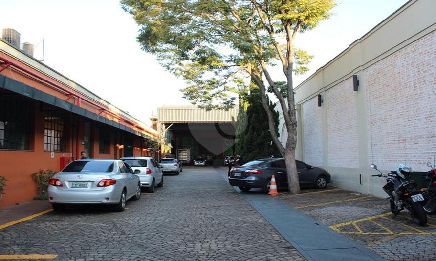 Foto REO12113