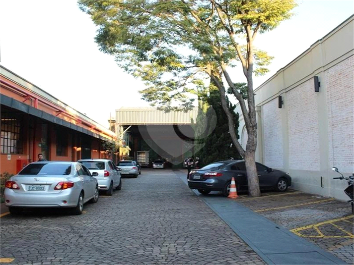 Foto REO12113