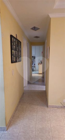Foto REO121929