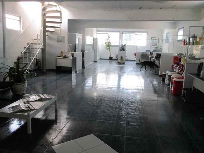Foto REO122871