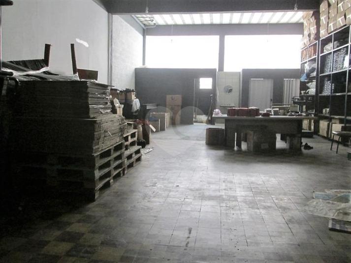 Foto REO122871